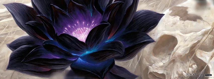 Mystical-Black-Lotus-and-Skull-Fantasy-Art Black lotus flower with glowing center and skull in a dark fantasy illustration