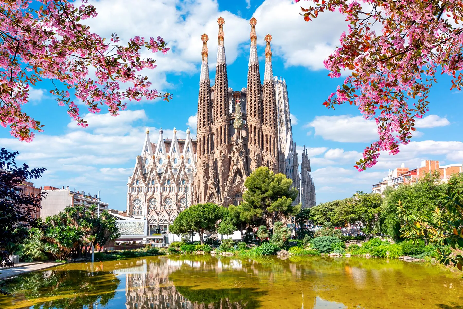 Sagrada Familia cathedral in Barcelona surrounded by blooming pink trees and a scenic pond on a sunny spring day